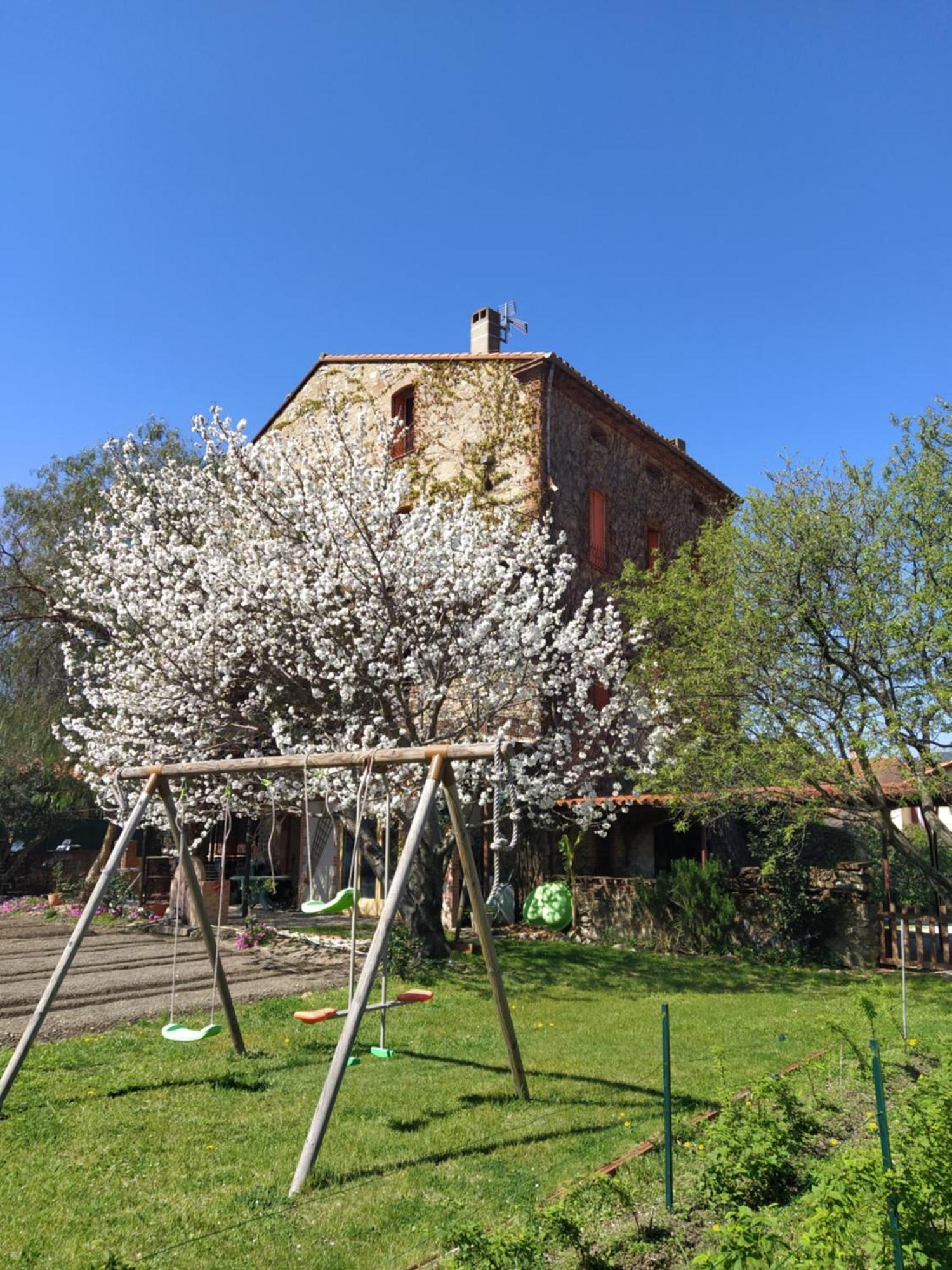 Chambres D'Hotes Las Tanes Vinca Exterior photo